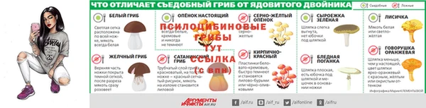 эйфоретик Алексин