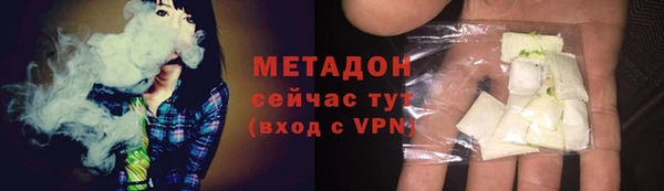 стаф Алзамай