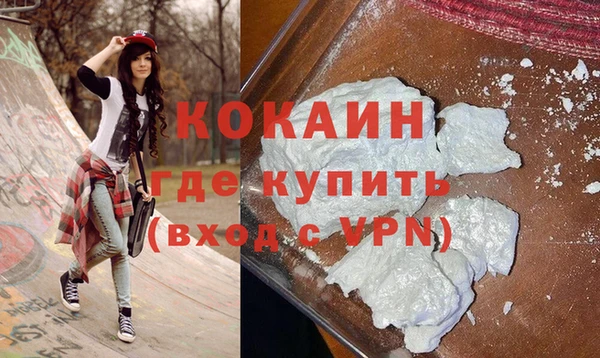 стаф Алзамай