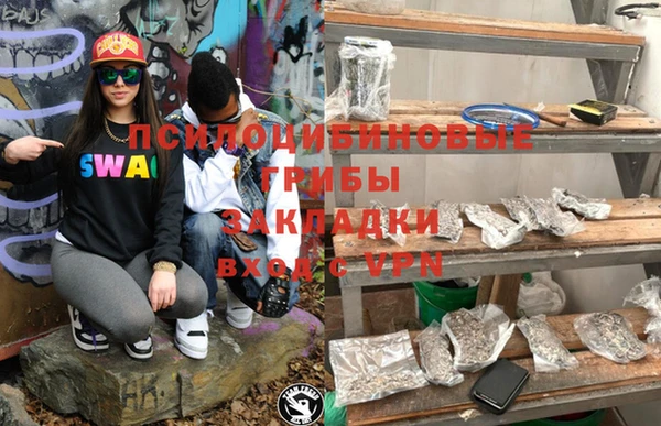стаф Алзамай
