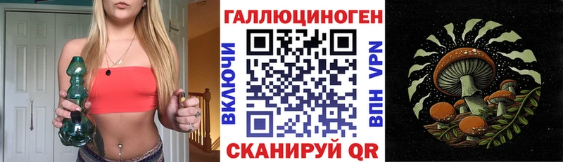 хочу   Краснознаменск  Галлюциногенные грибы MAGIC MUSHROOMS 